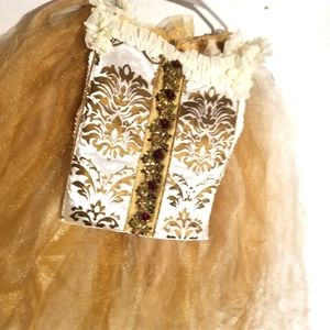 Fairytale tutu dress costume adjustable stretch two pieces fot little girl